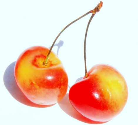 Rainier Cherries - The Absolute Best Cherries in the World